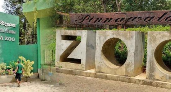 තාවකාලිකව වැසූ සත්වෝද්‍යාන යළි විවෘත කෙරේ..